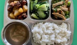 娱乐吃瓜酱学不进去了,学不进去了，揭秘学习困境背后的娱乐诱惑